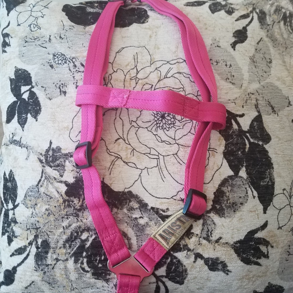 Arista Harness - Picture 3 of 4